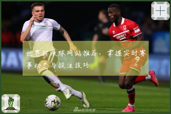 世界杯滚球网站推荐，掌握实时赛事动态与投注技巧