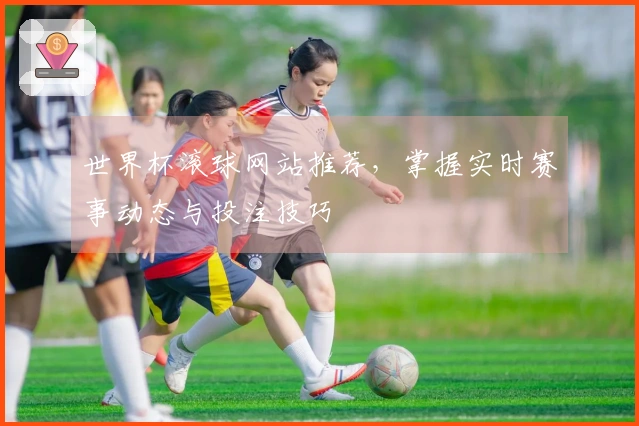 世界杯滚球网站推荐，掌握实时赛事动态与投注技巧
